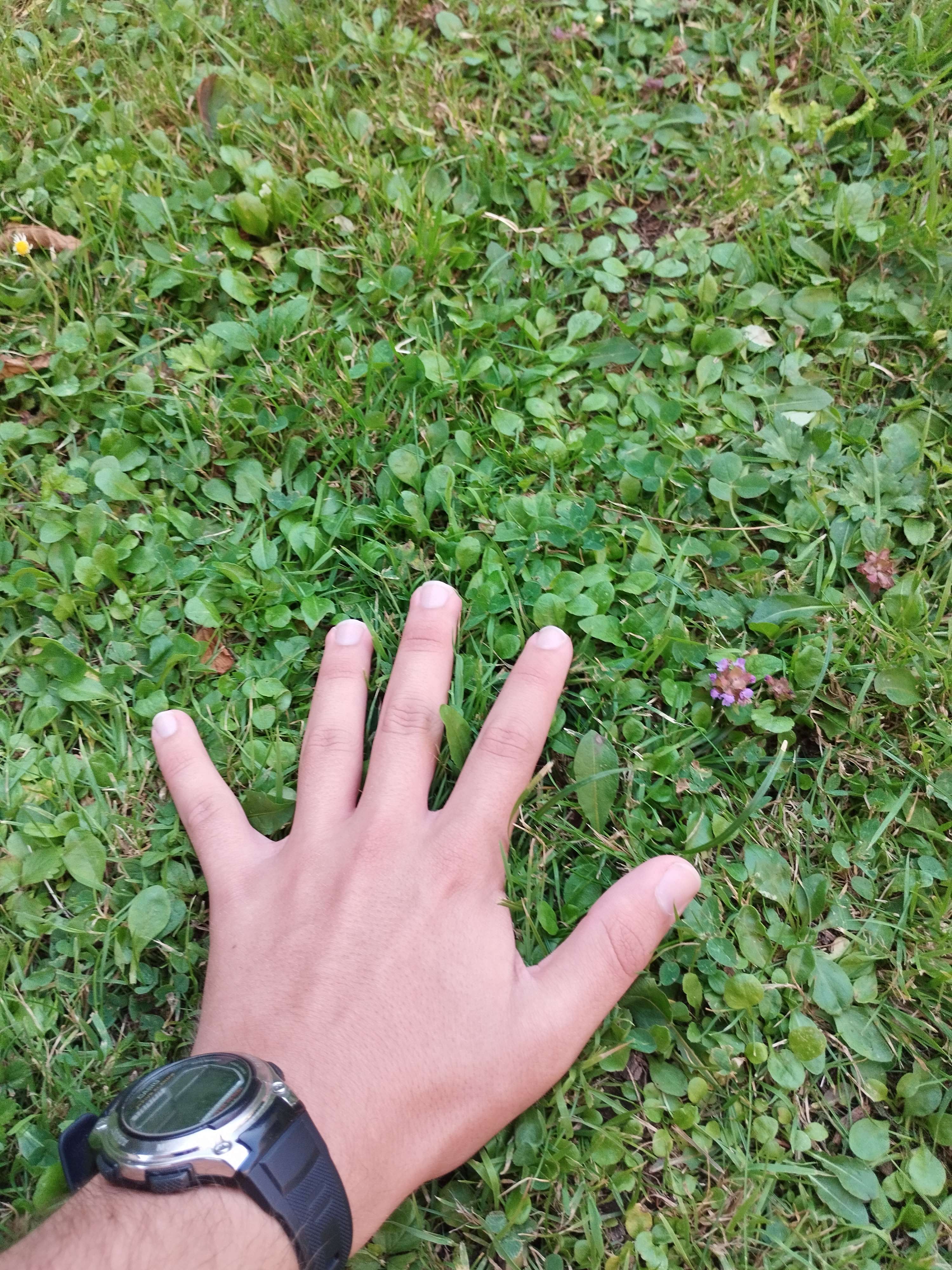 Touching grass